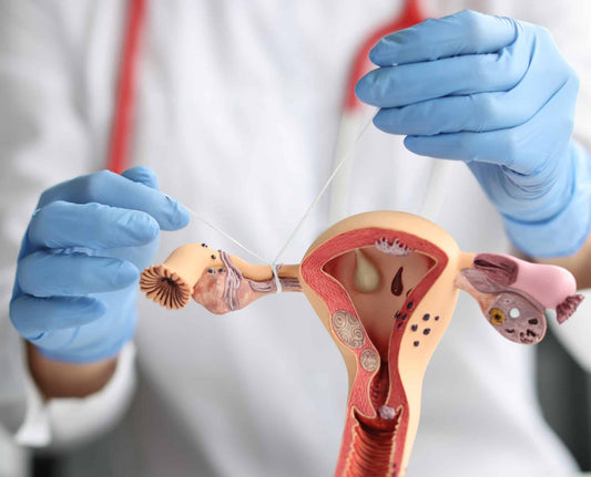 Tubal Reversal Procedure